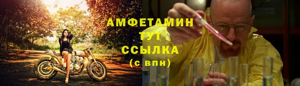 ПСИЛОЦИБИНОВЫЕ ГРИБЫ Баксан