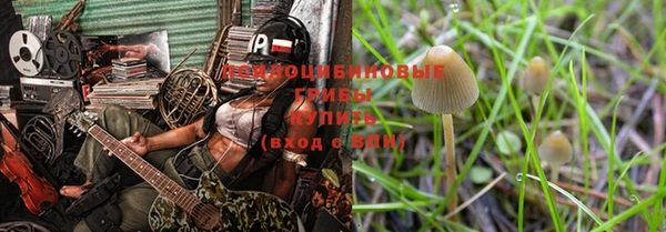 ПСИЛОЦИБИНОВЫЕ ГРИБЫ Баксан