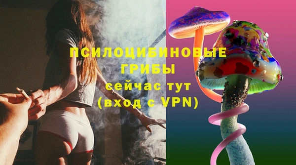 ПСИЛОЦИБИНОВЫЕ ГРИБЫ Баксан