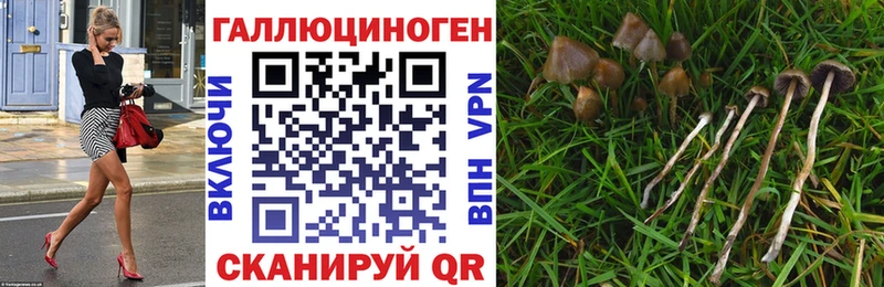 Купить закладки  Нарьян-Мар  Галлюциногенные грибы Psilocybe 